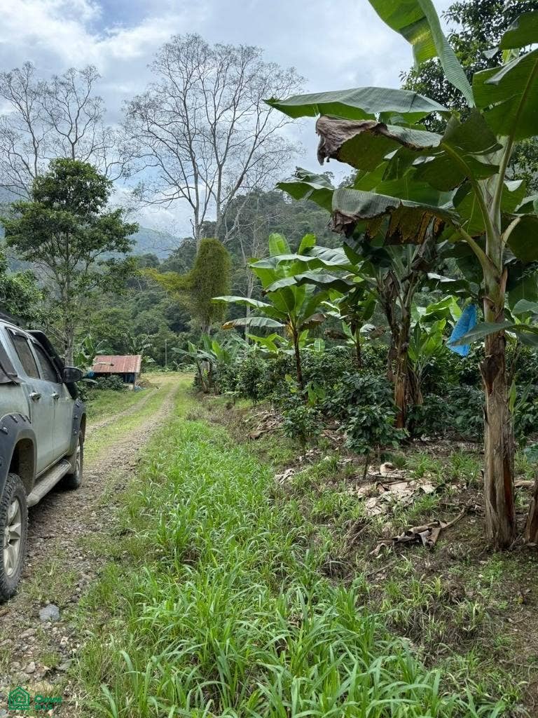 paso Marcos, Tayutic, Turrialba, Turrialba, Cartago, Costa Rica paso Marcos, Tayutic, Turrialba, Turrialba, Cartago, Costa Rica