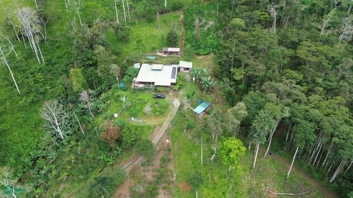 paso Marcos, Tayutic, Turrialba, Turrialba, Cartago, Costa Rica paso Marcos, Tayutic, Turrialba, Turrialba, Cartago, Costa Rica