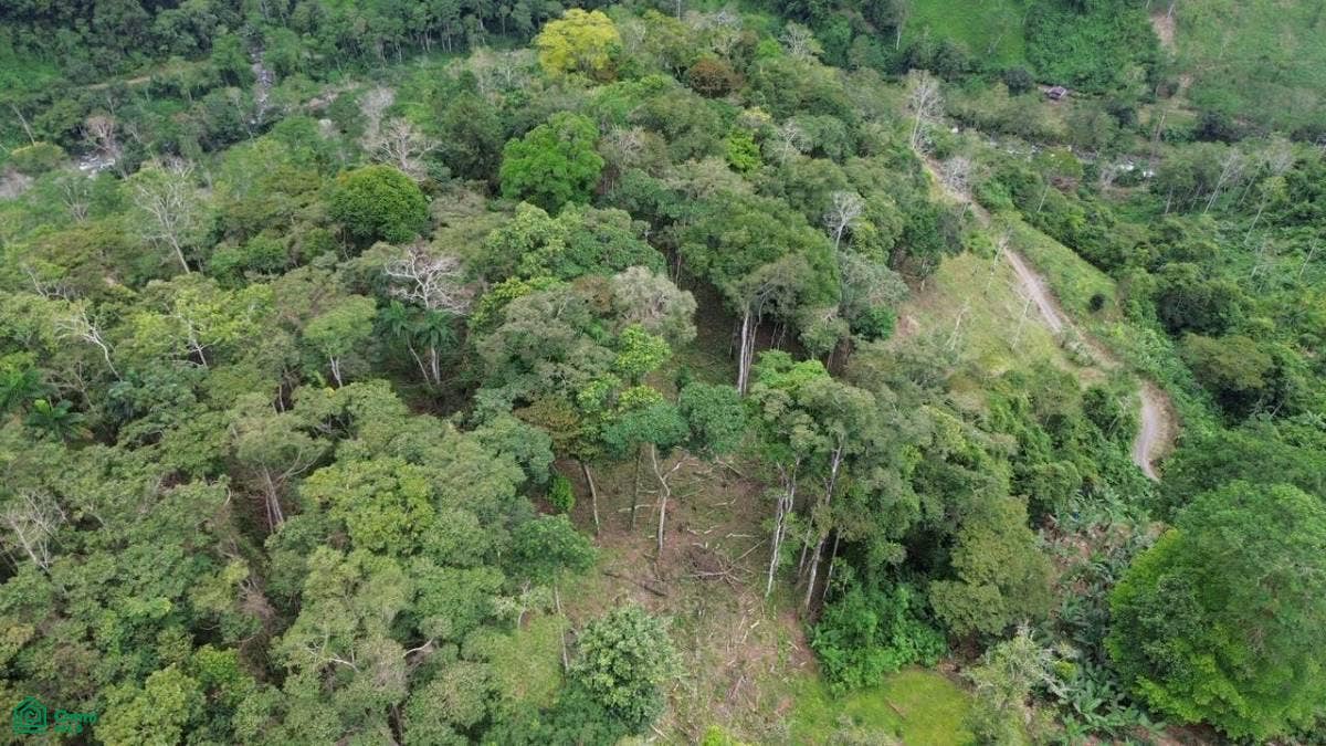 paso Marcos, Tayutic, Turrialba, Turrialba, Cartago, Costa Rica paso Marcos, Tayutic, Turrialba, Turrialba, Cartago, Costa Rica