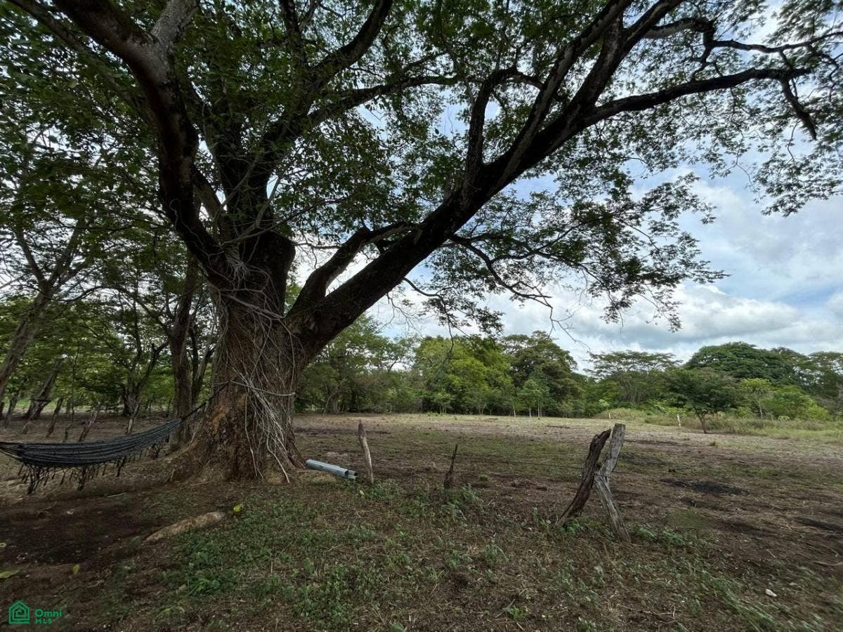 San Juan, Quebrada Honda , 750 metros al este del, Quebrada Honda, Nicoya, Nicoya, Guanacaste, Costa Rica