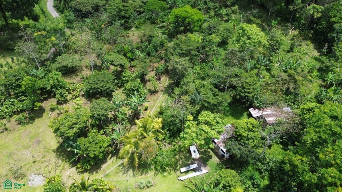 San Ramón de Santa Teresita, Santa Teresita, Turrialba, Turrialba, Cartago, Costa Rica 30505