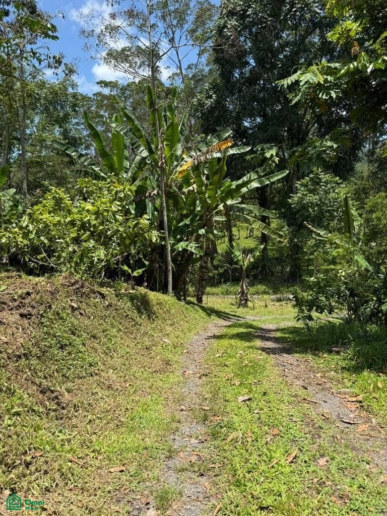 San Ramón de Santa Teresita, Santa Teresita, Turrialba, Turrialba, Cartago, Costa Rica 30505