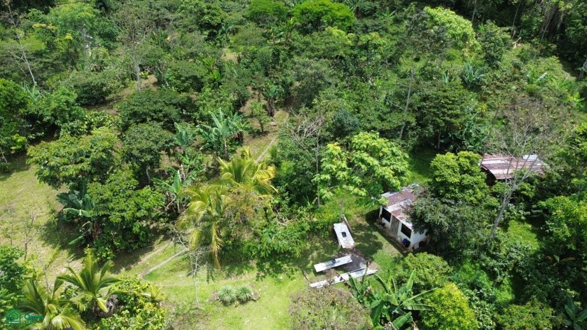 San Ramón de Santa Teresita, Santa Teresita, Turrialba, Turrialba, Cartago, Costa Rica 30505