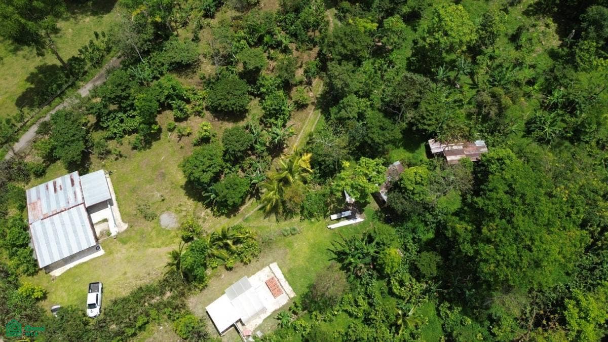 San Ramón de Santa Teresita, Santa Teresita, Turrialba, Turrialba, Cartago, Costa Rica 30505
