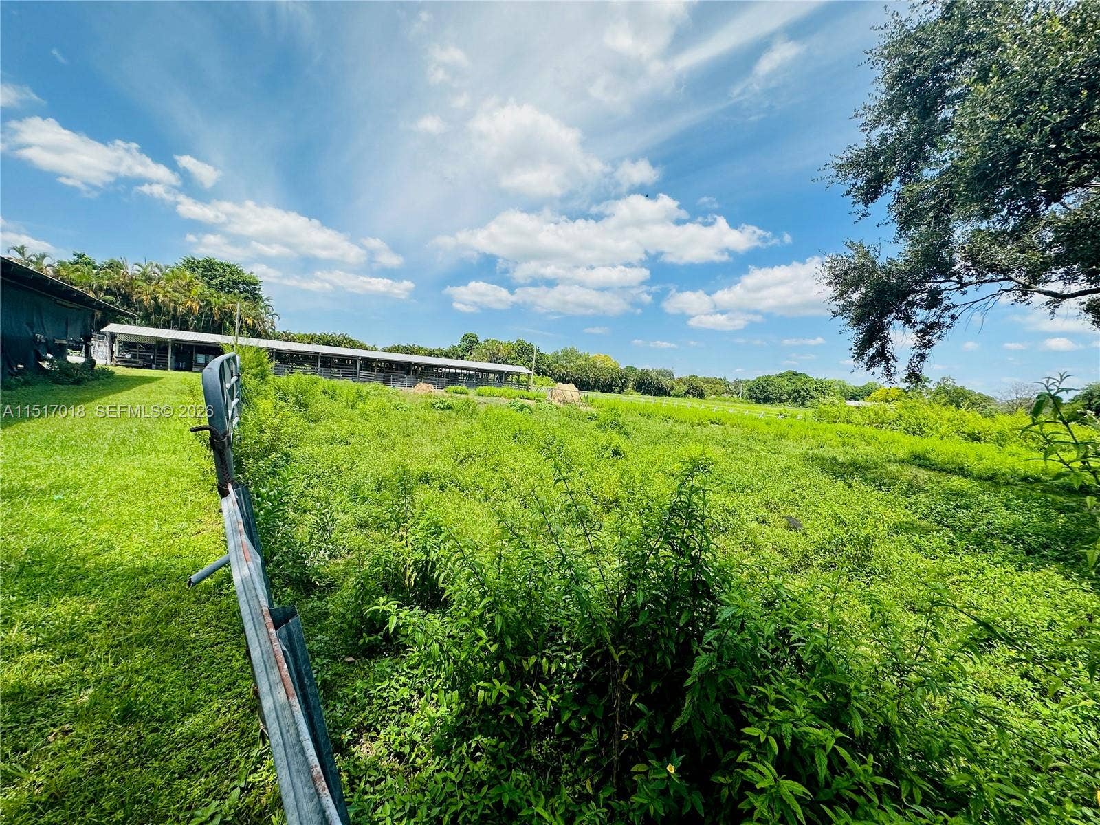 Pasture
