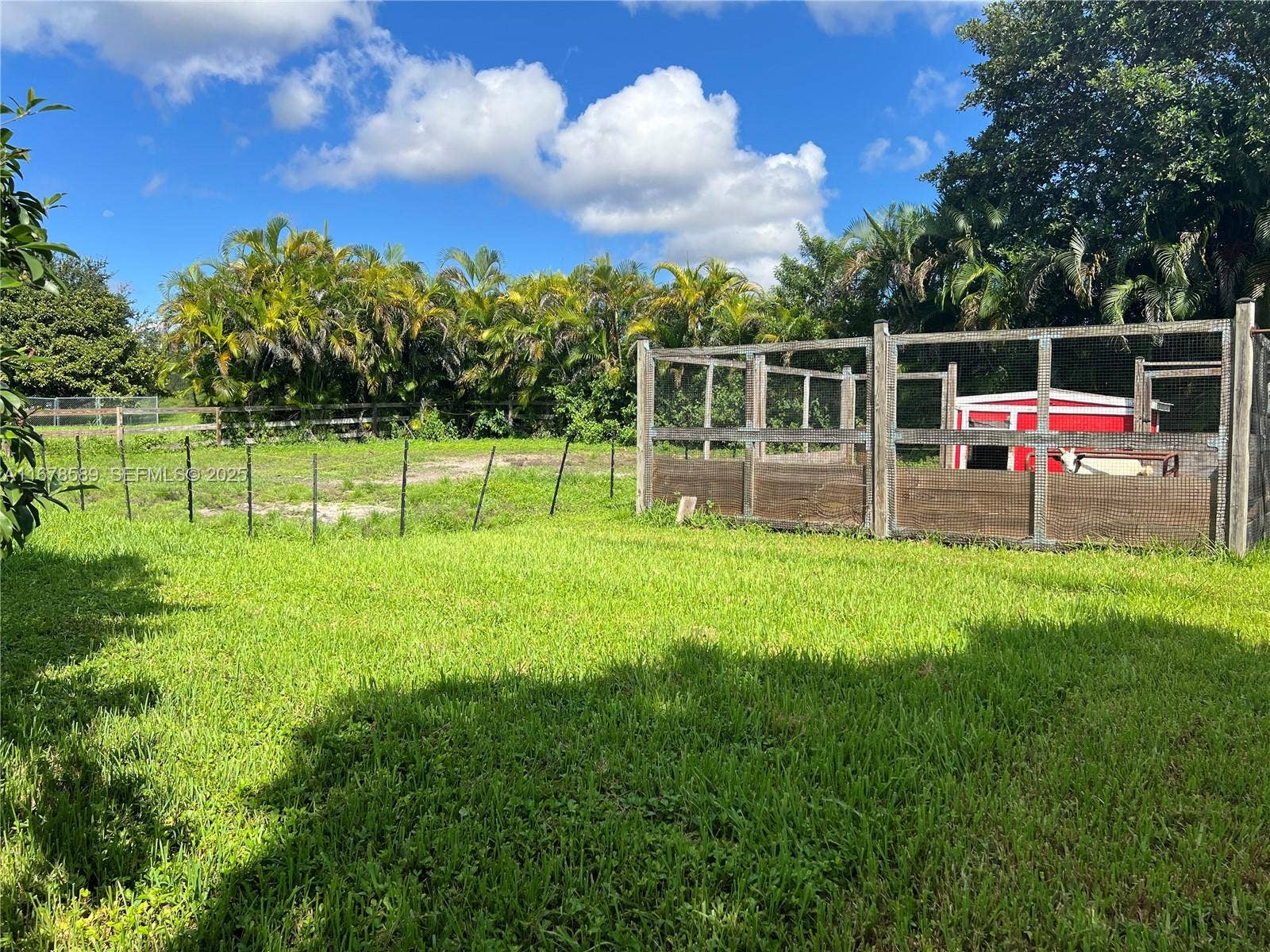 20321 SW 48th Street, Southwest Ranches, FL 33332 Photo 31