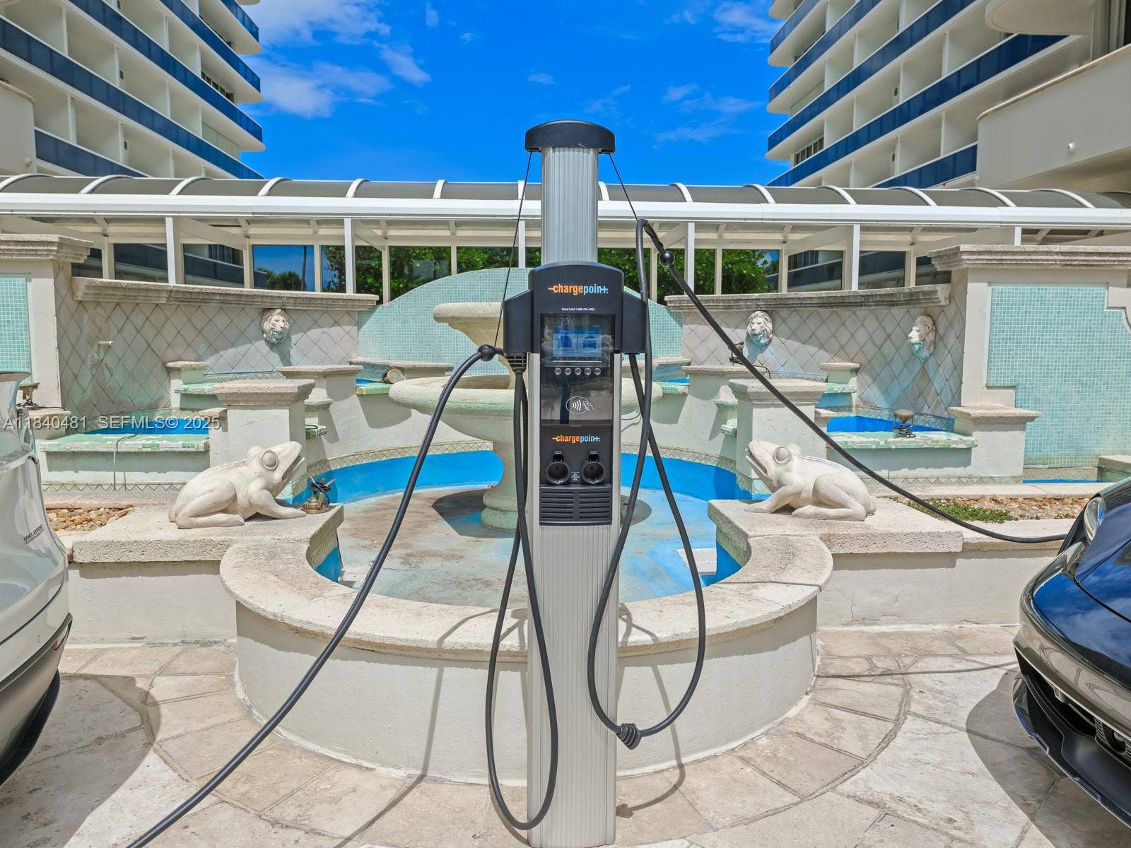 Photo 51