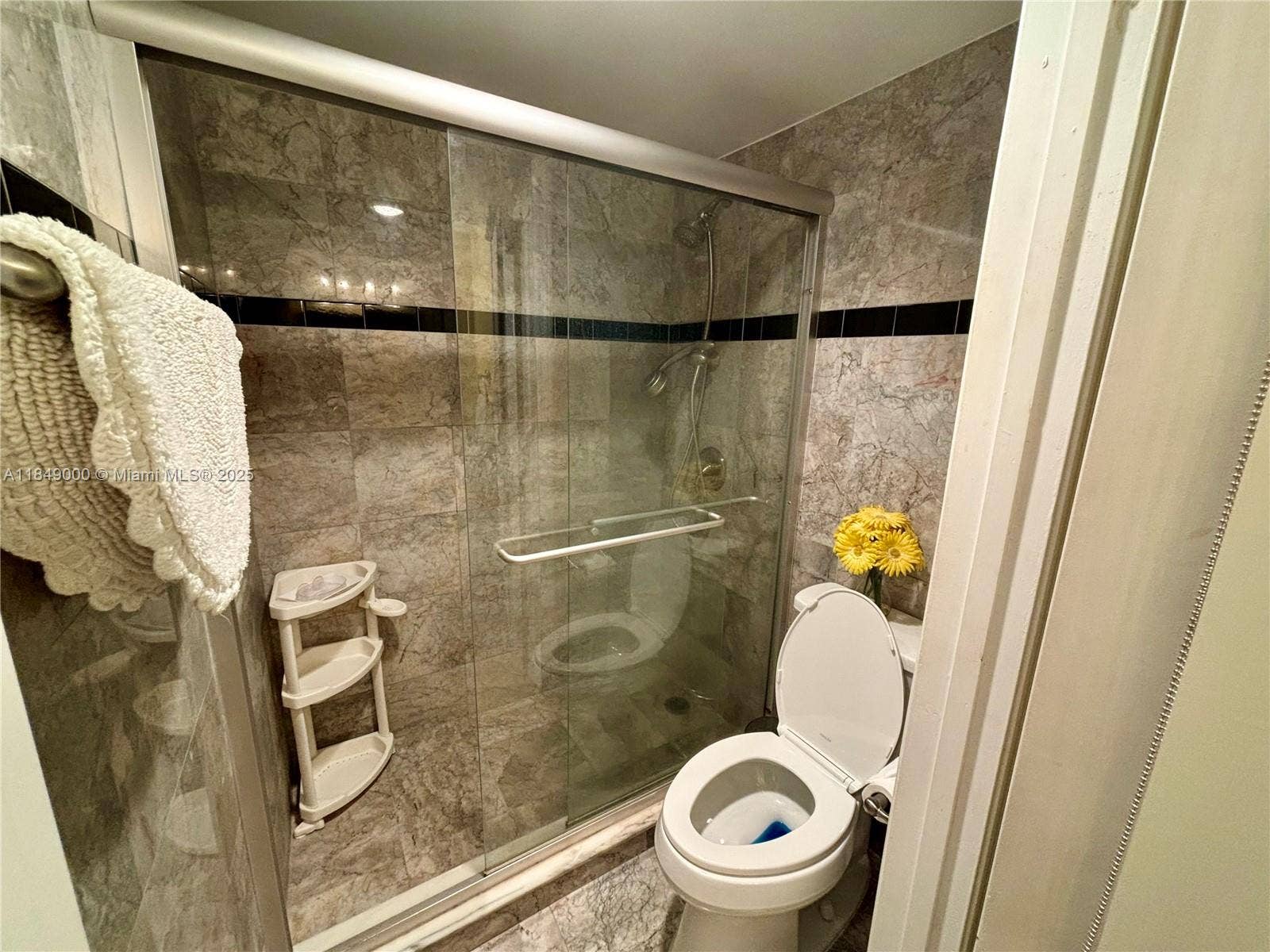 3031 N Ocean Boulevard, #308, Fort Lauderdale, Fort Lauderdale, FL 33308 Photo 8