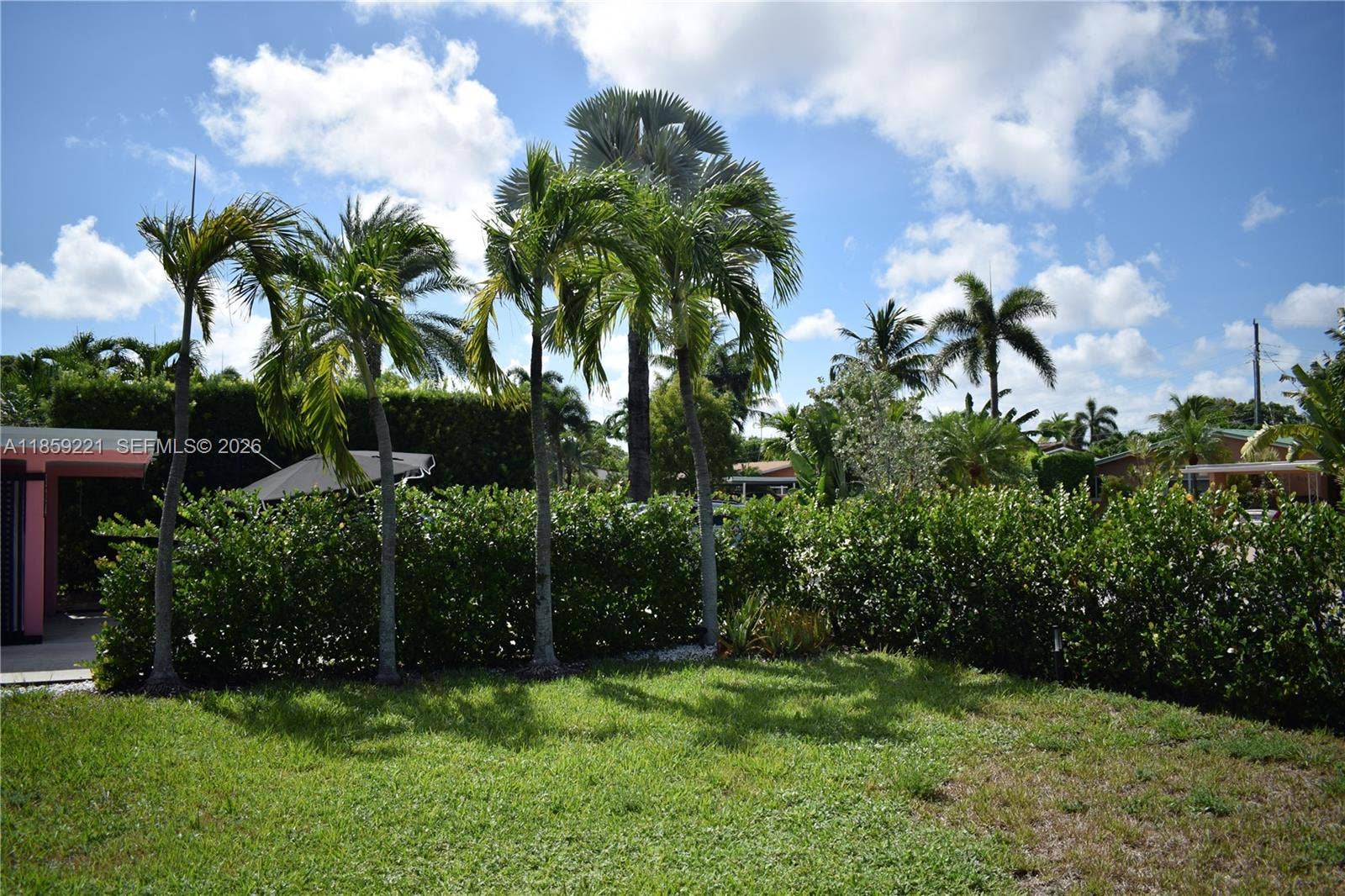524 NE 27th Drive, Wilton Manors, FL 33334 Private front yard with manicured hedges and framed with tropical palm trees.