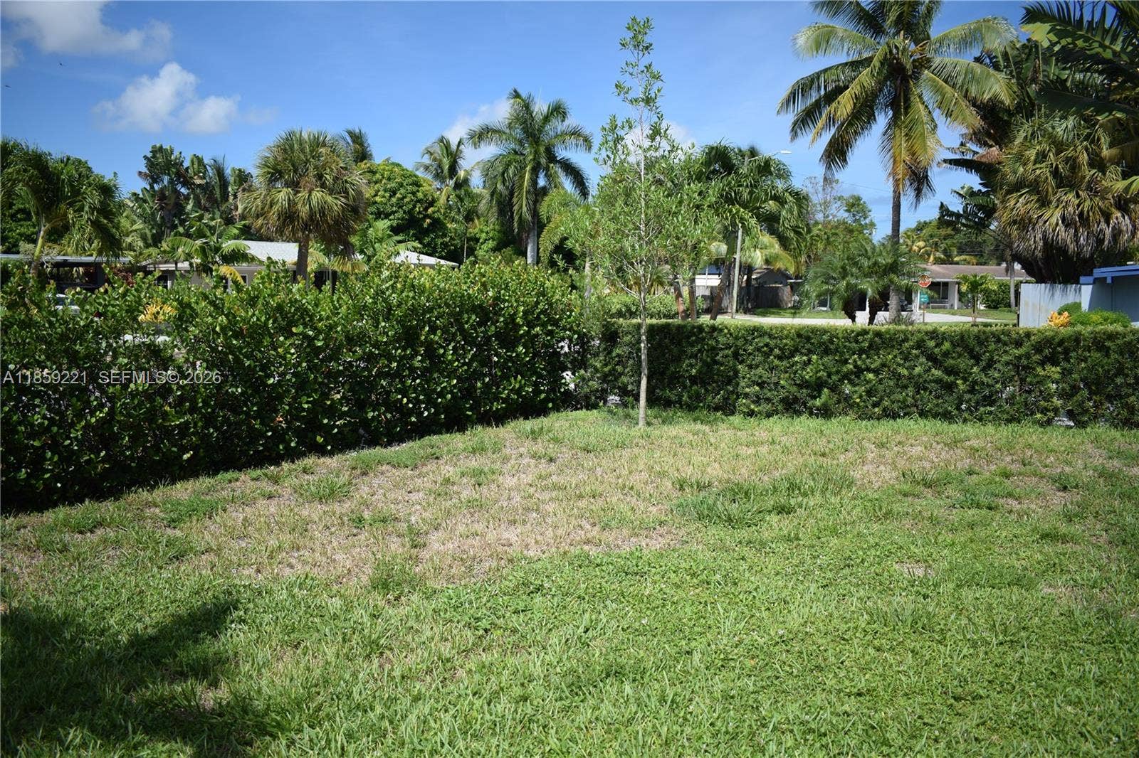 524 NE 27th Drive, Wilton Manors, FL 33334 Secluded front garden with mature shrubs, ideal for adding a spacious pool and outdoor retreat