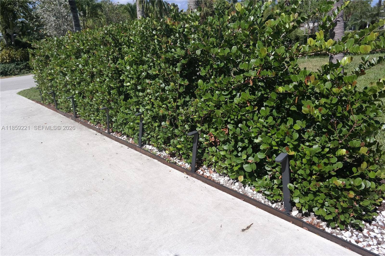 524 NE 27th Drive, Wilton Manors, FL 33334 Landscape lighting highlights the hedge-lined path, blending beauty and function for a welcoming arrival day or night