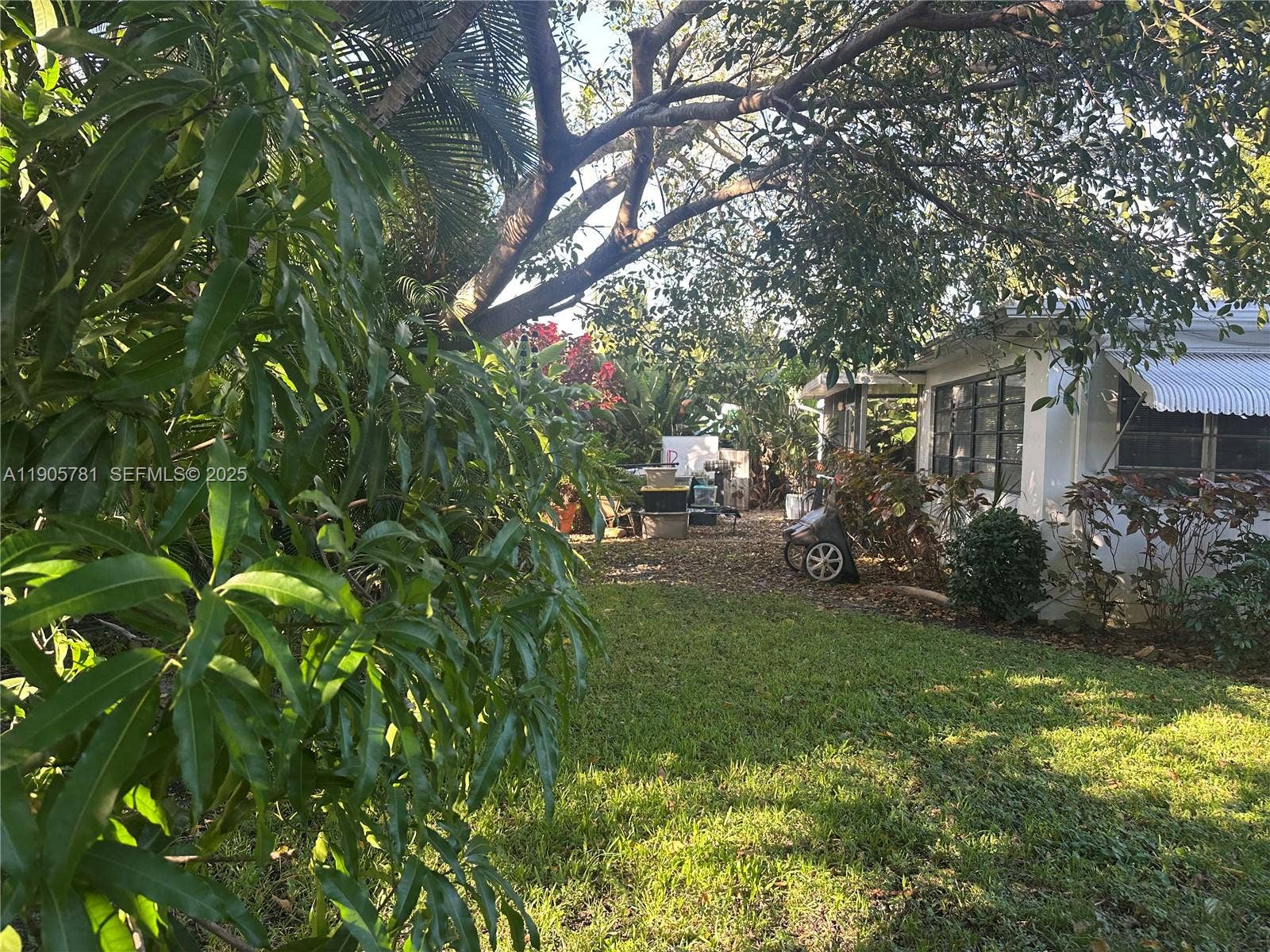 Photo 22