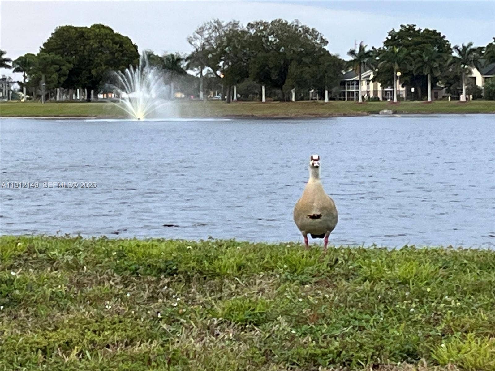 3080 N Course Drive, #209, Pompano Beach, FL 33069 greet your wildlife pals while you stroll