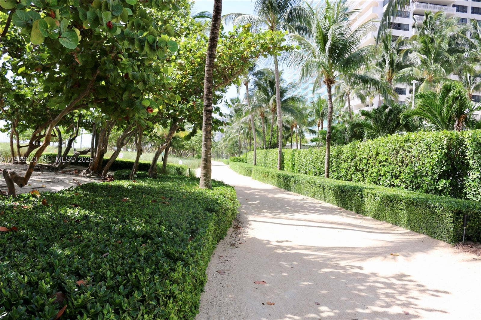 9801 Collins Avenue, #8N Ocean Views, Bal Harbour, FL 33154 Bal Harbour beach walking or running pad
