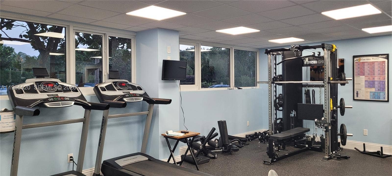 Photo 19