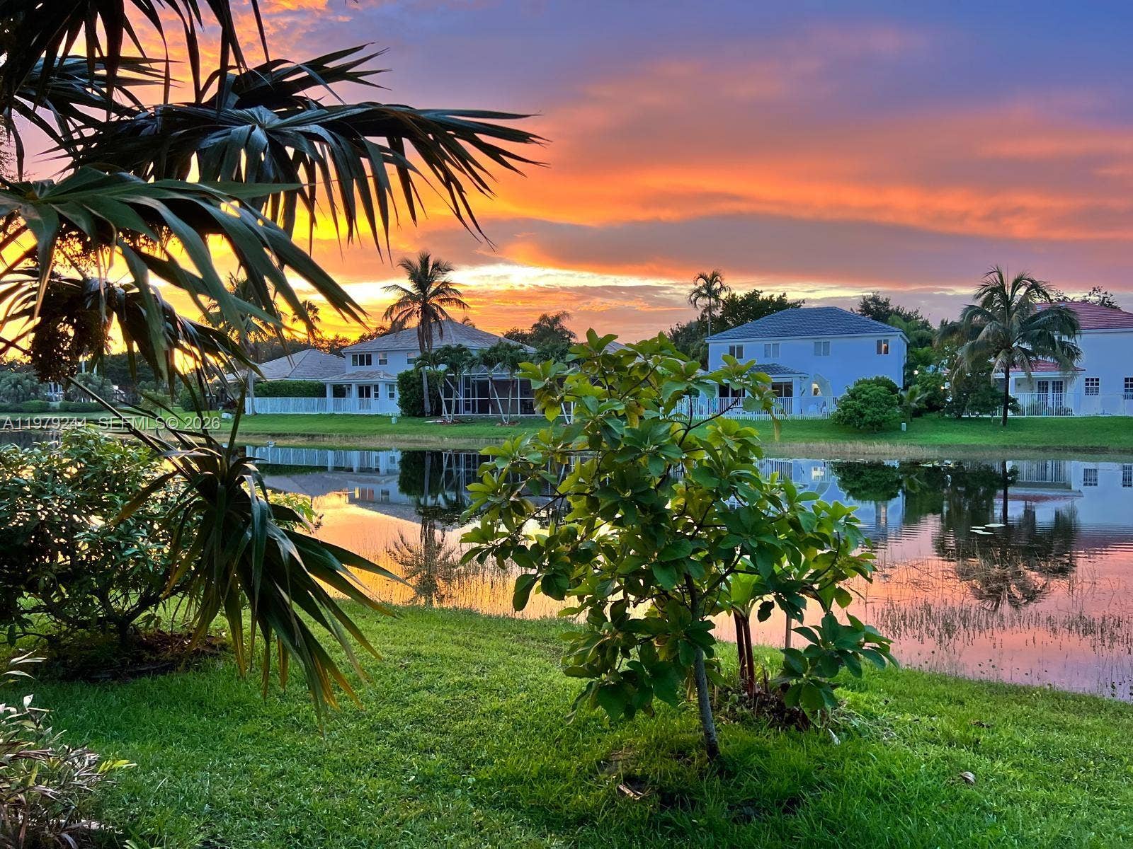 803 Vista Meadows Drive, Weston, FL 33327 Spectacular sunset from the rear view of 803 Vista Meadows Dr Weston, manicured with lush fruit trees planted with Avocados, Mangos, etc. A joy to entertain throwing an outside BBQ for family/friends, or enjoying a sunrise Kayak trip down the lake, by your self, or with loved ones. See VIDEO LINKS IN 2ND PHOTO