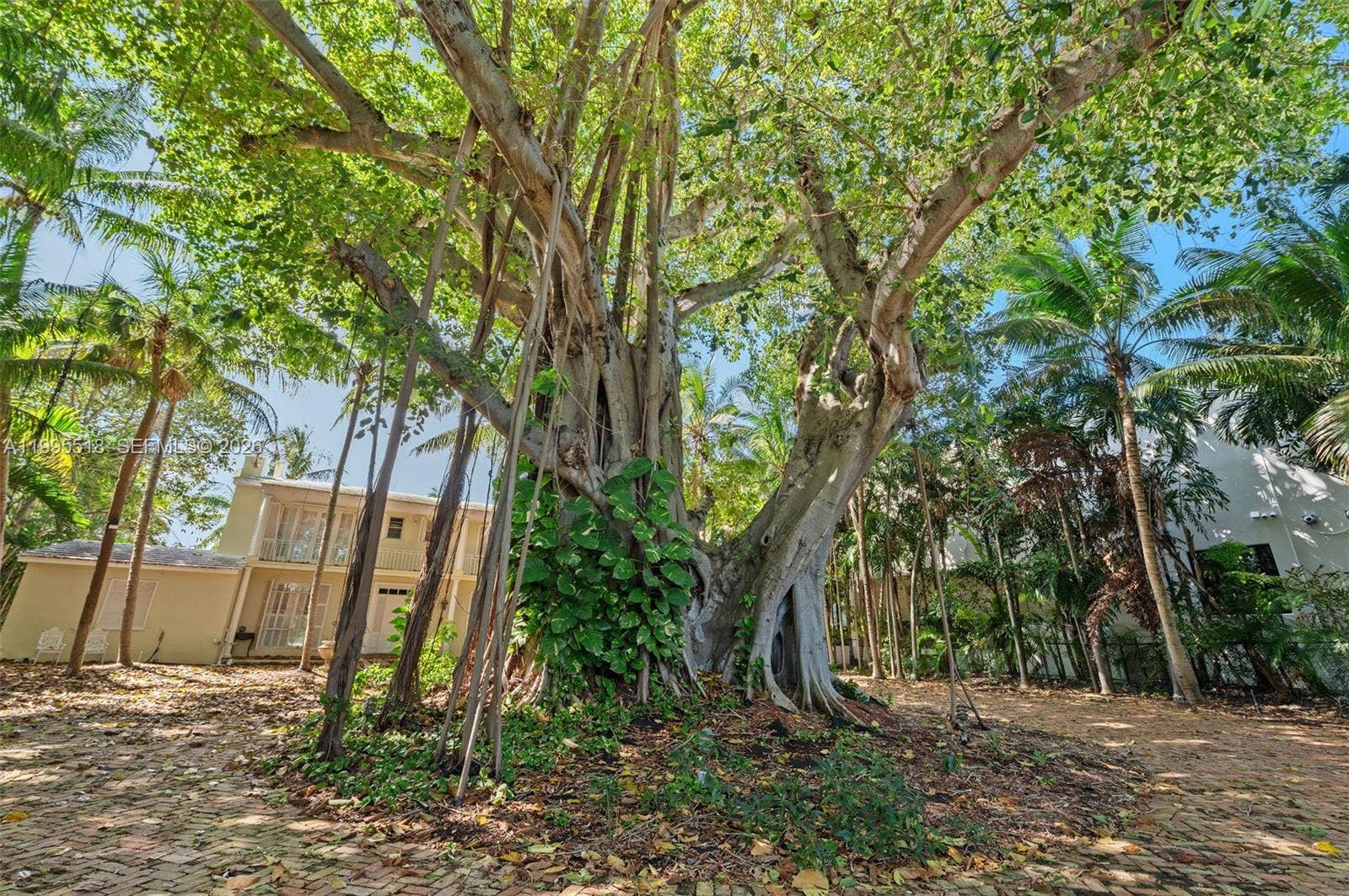 220 Bal Bay Drive, Bal Harbour, FL 33154 Photo 6