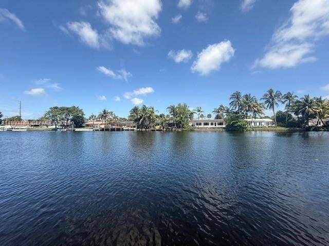 717 NW 30th Street, Wilton Manors, FL 33311 Photo 42