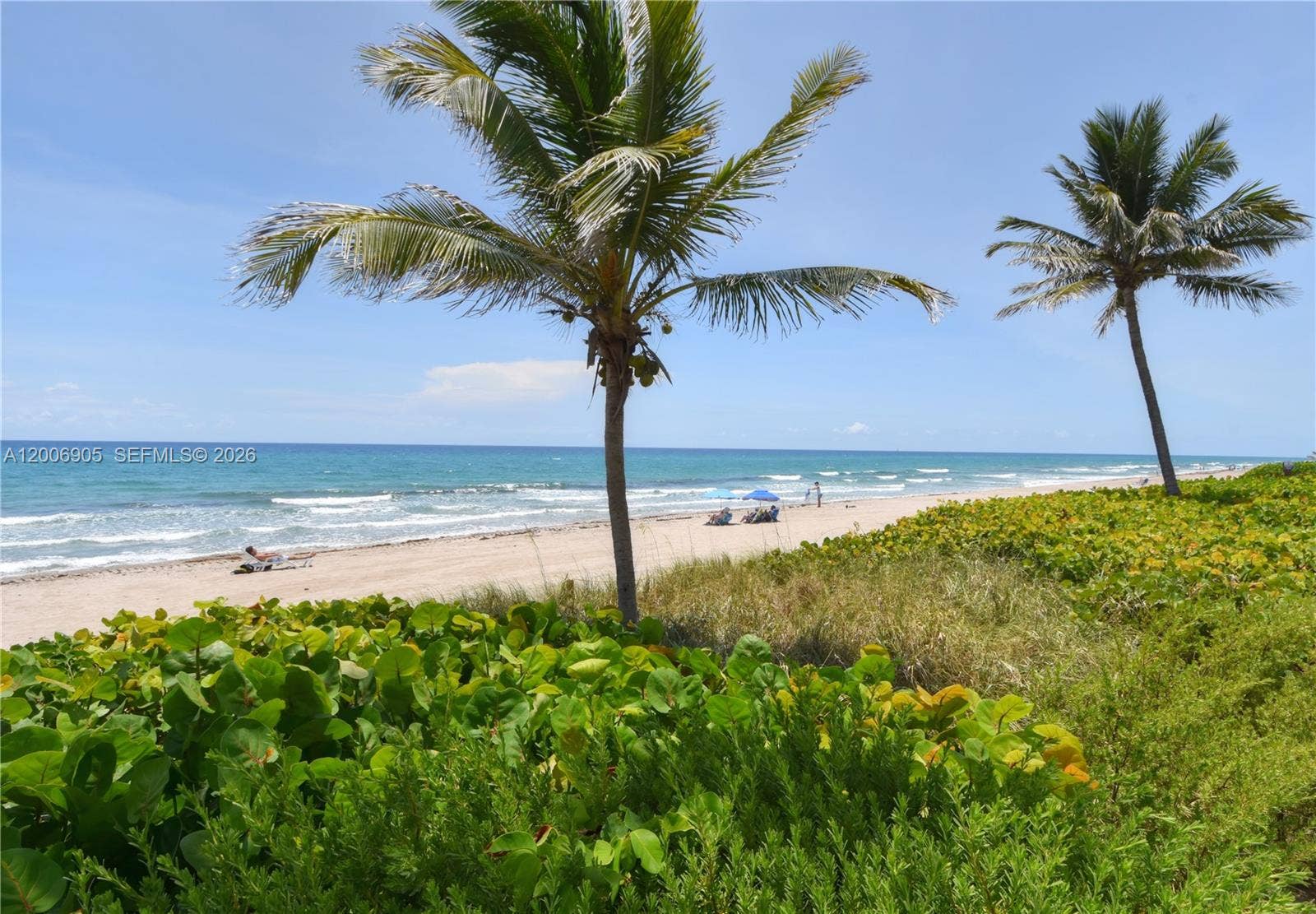 3101 S Ocean Boulevard, #118, Highland Beach, FL 33487 Ocean View