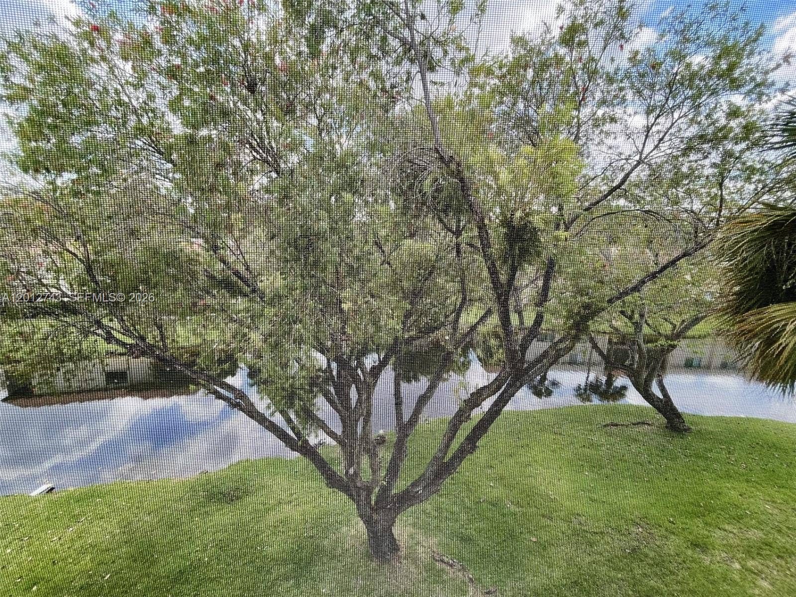 491 Racquet Club Road, #303, Weston, Weston, FL 33326 Photo 37