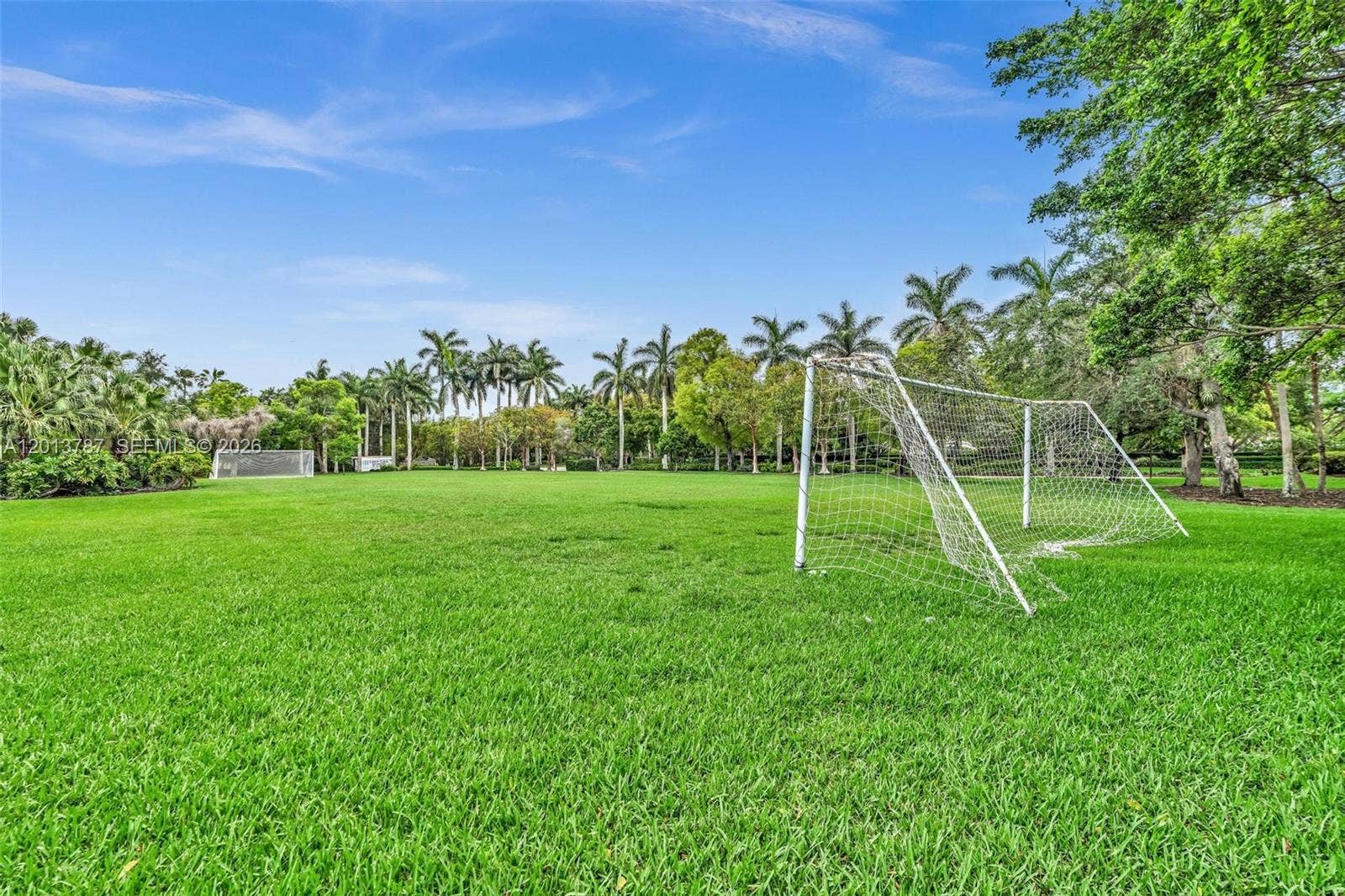 SOCCER FIELD
