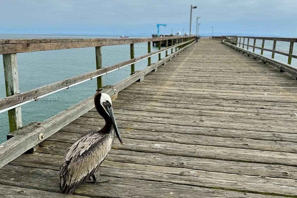 842 Argonaut Isle, Dania Beach, FL 33004 Dania Beach Pier