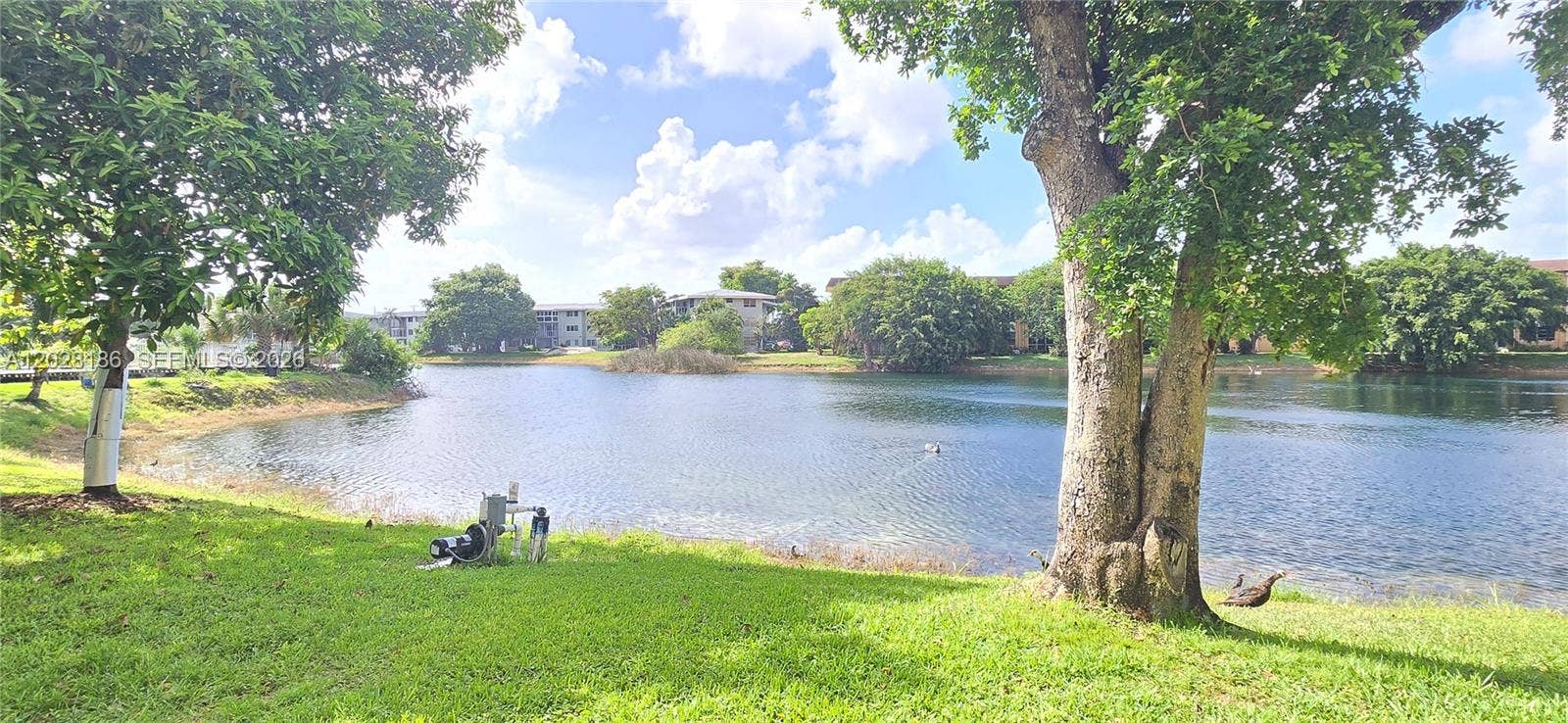 Lake view