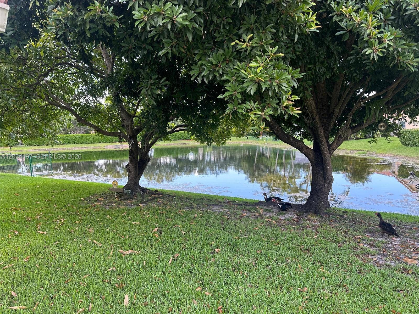 16328 NW 11th Street, Pembroke Pines, FL 33028 Photo 12