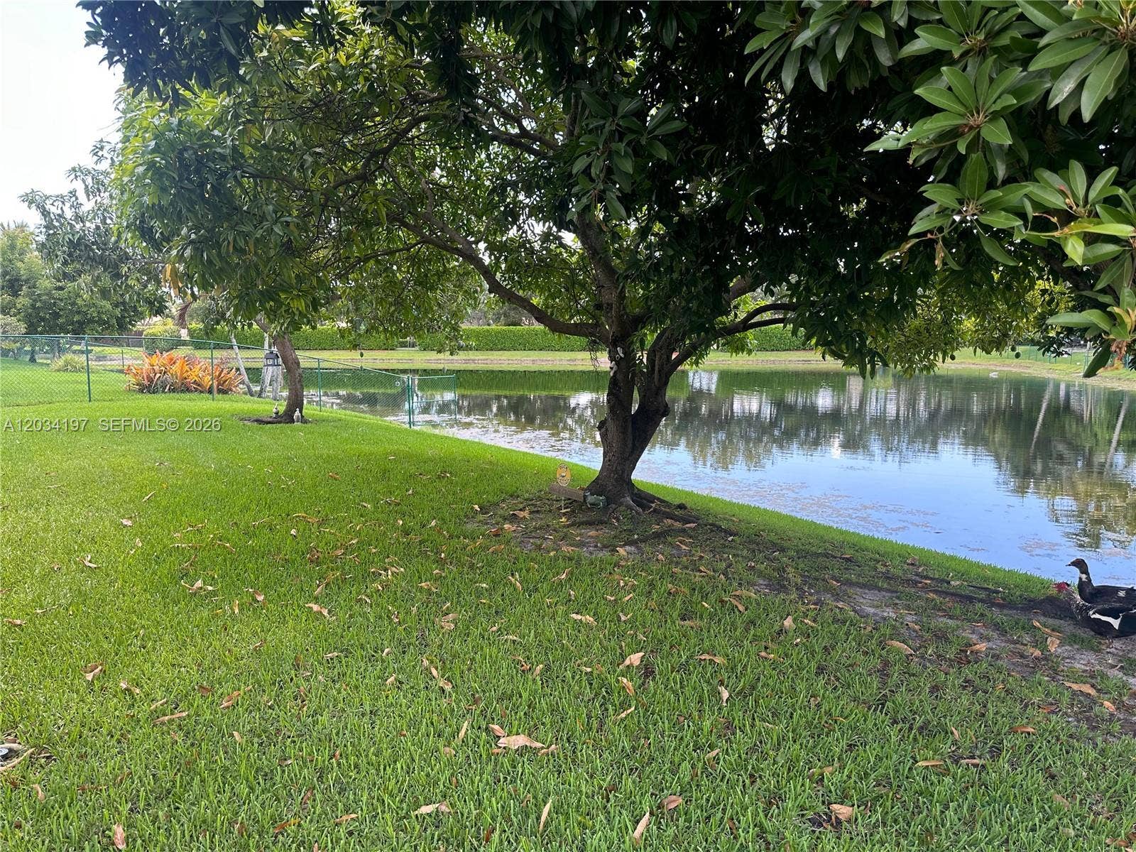 16328 NW 11th Street, Pembroke Pines, FL 33028 Photo 9