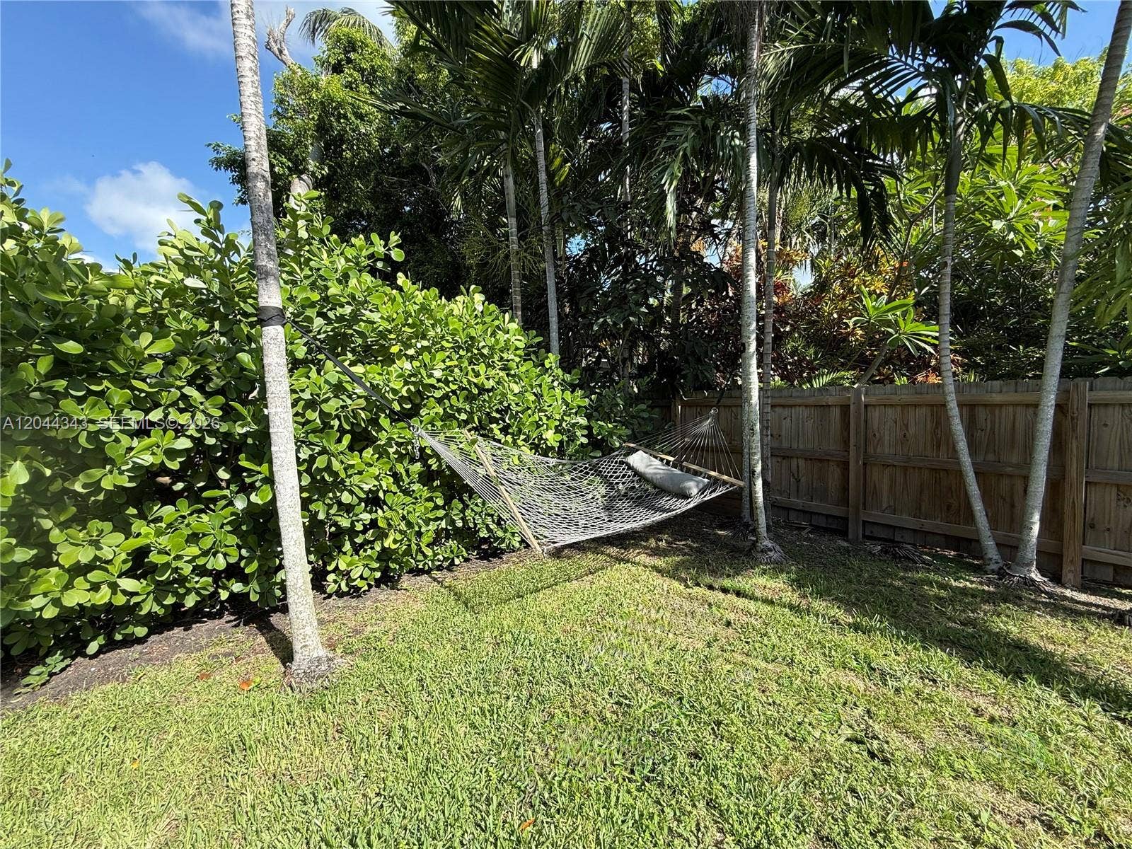 Hammock