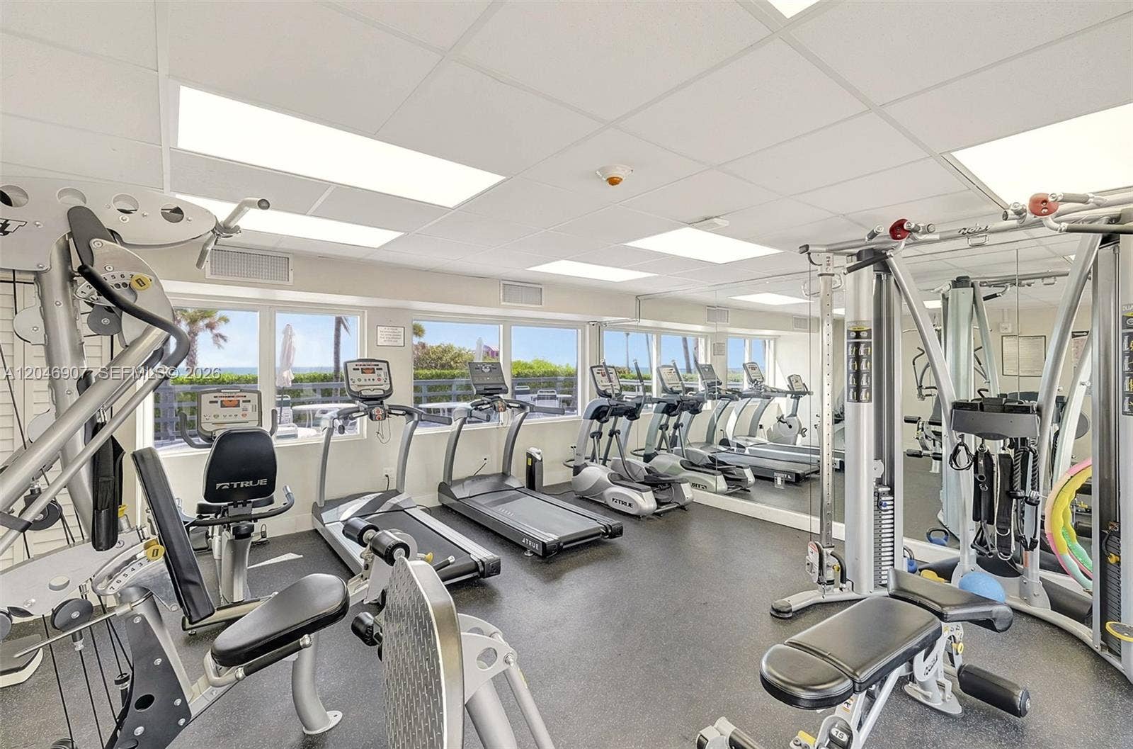 5005 Collins Avenue, #1224, Miami Beach, FL 33140 Open 24/7