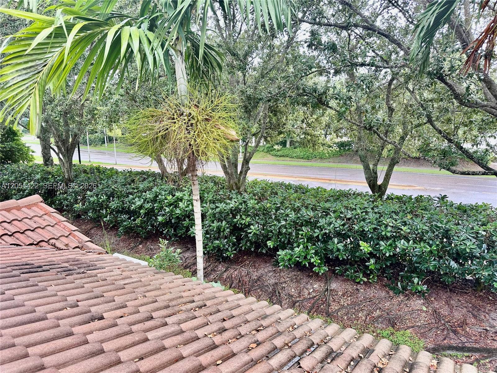 Weston, Weston, FL 33332 Photo 20