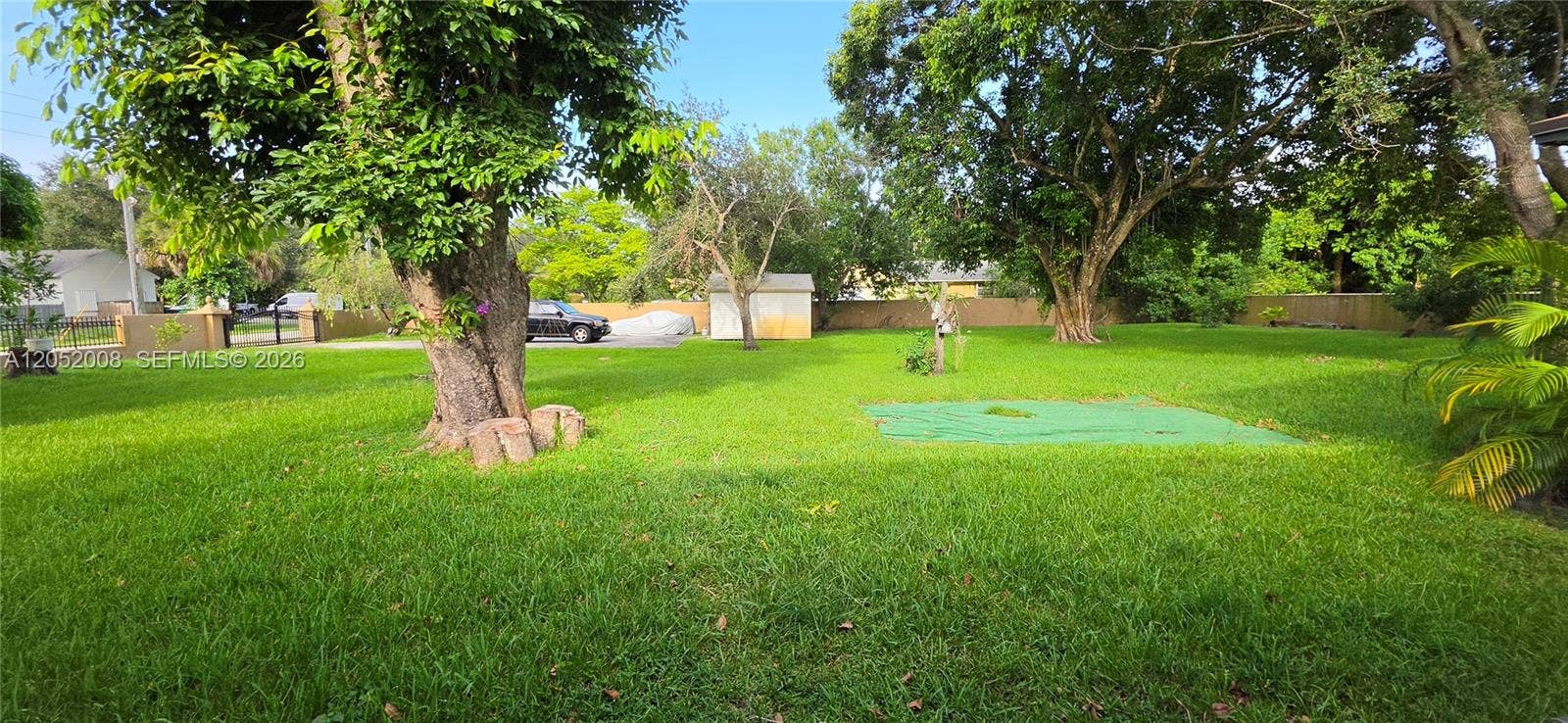 Photo 45