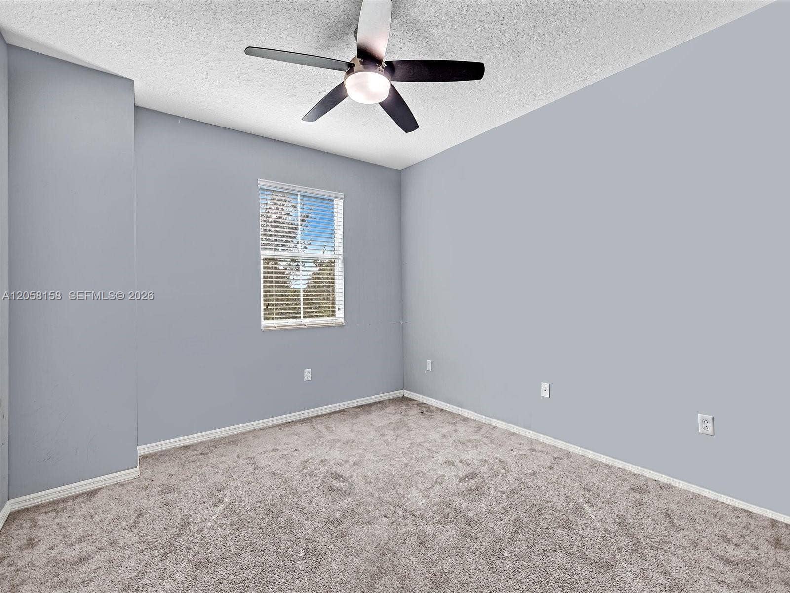 6447 Osprey Landing Street, Davie, FL 33314 Photo 23
