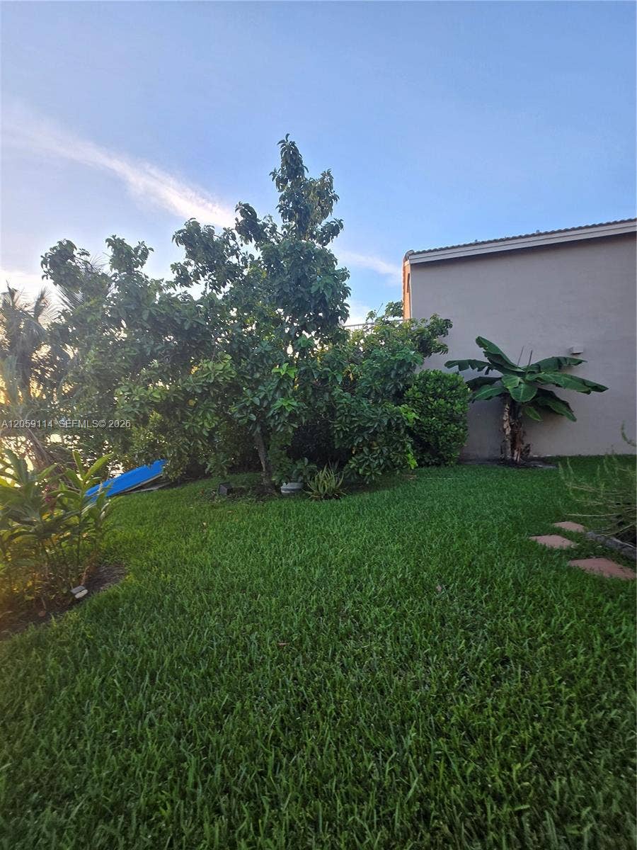 Avocado/Plantain Tree