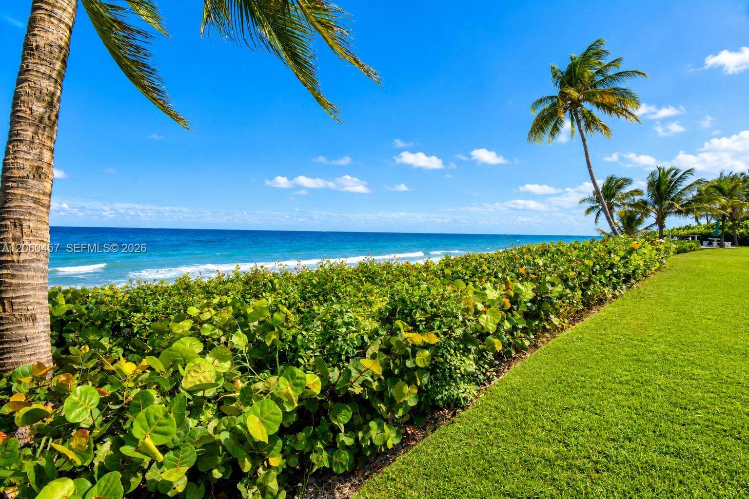 1069 Hillsboro Mile, #206, Hillsboro Beach, Hillsboro Beach, FL 33062 Ocean View