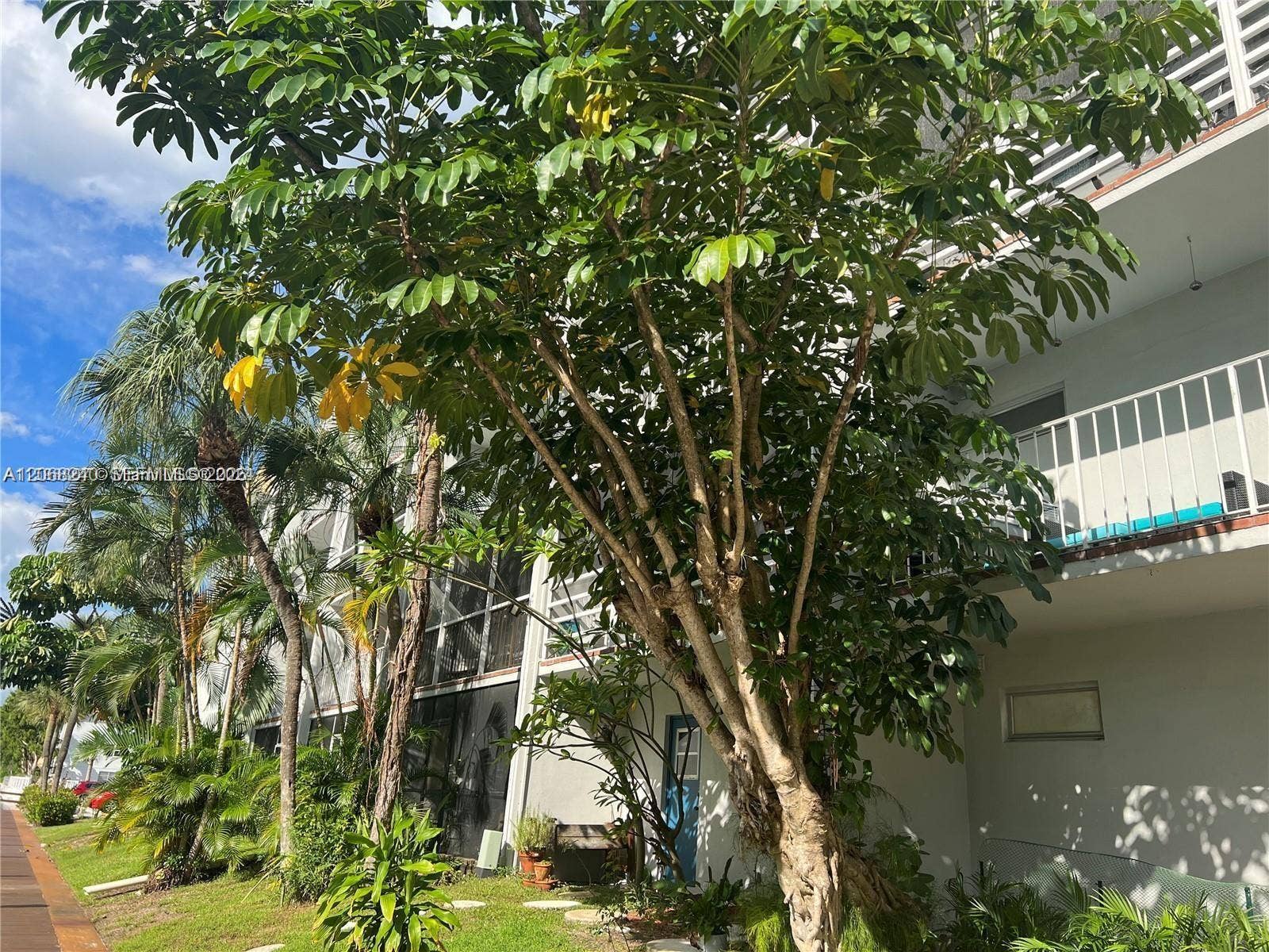 1407 NE 56th Street, #103, Fort Lauderdale, Fort Lauderdale, FL 33334 Photo 19