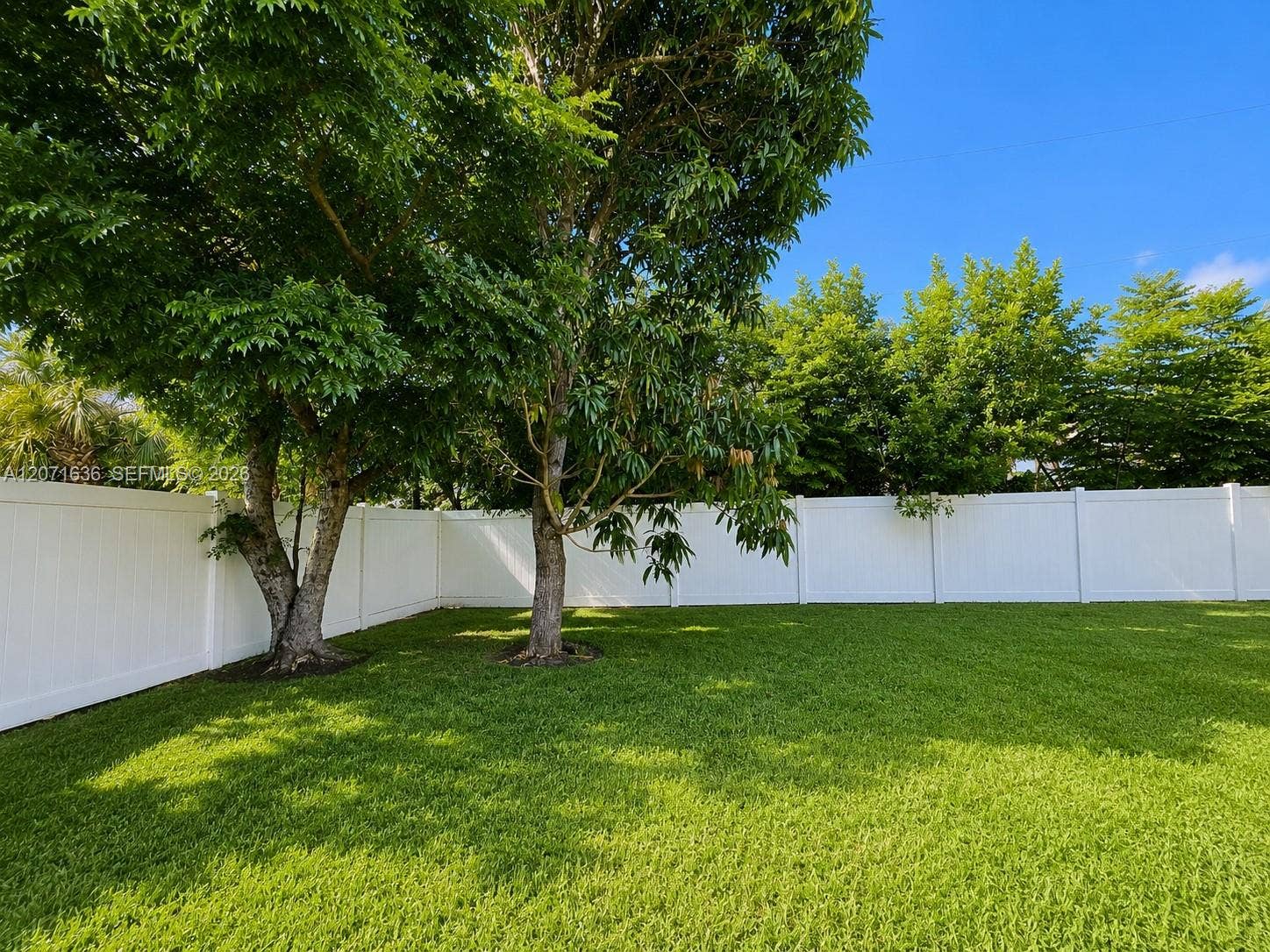 1419 Shelby Pwky, Cape Coral, FL 33904 Photo 42