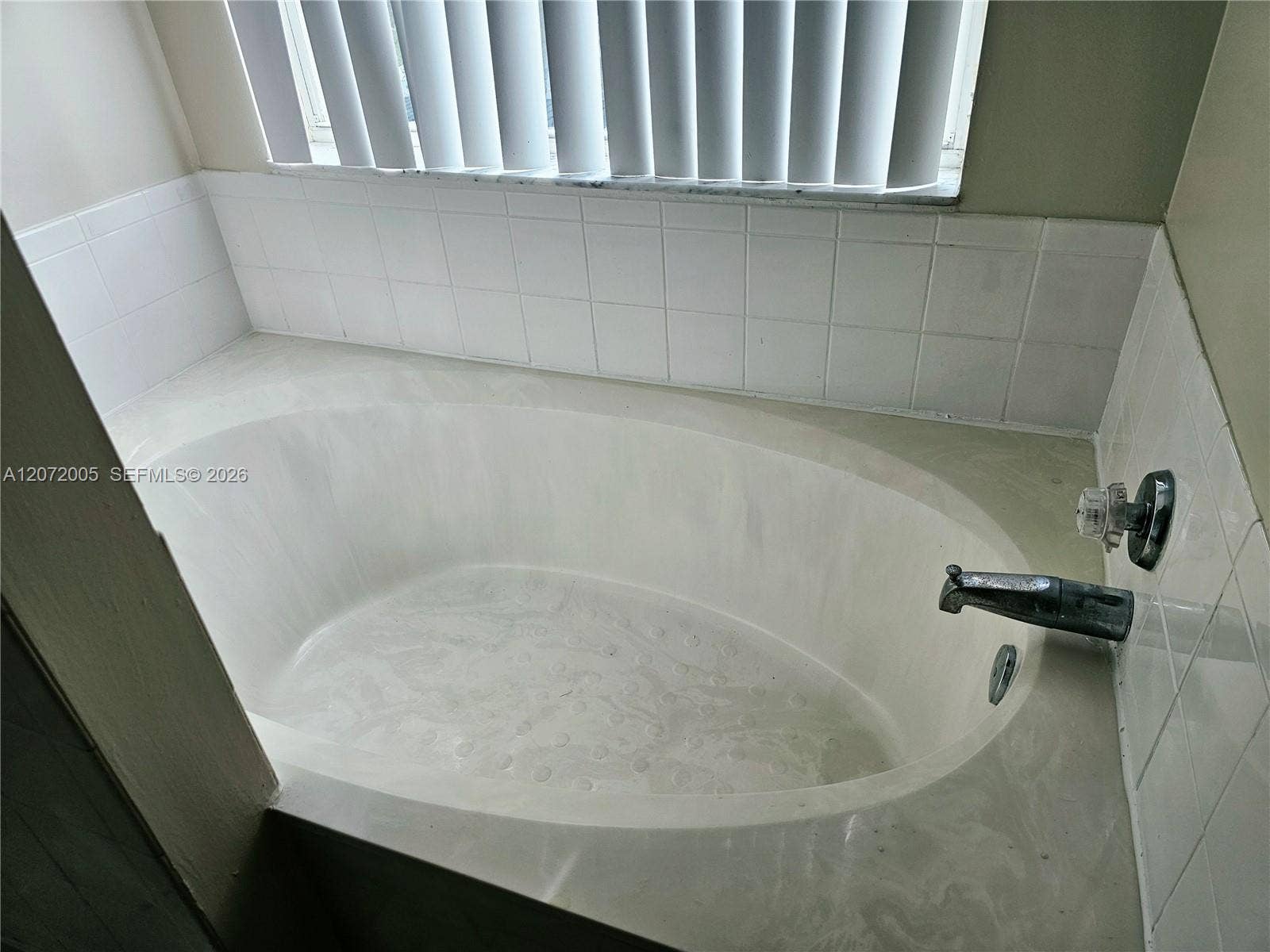 3860 Tree Tops Road, Cooper City, Cooper City, FL 33026 Masters oversized bathtub