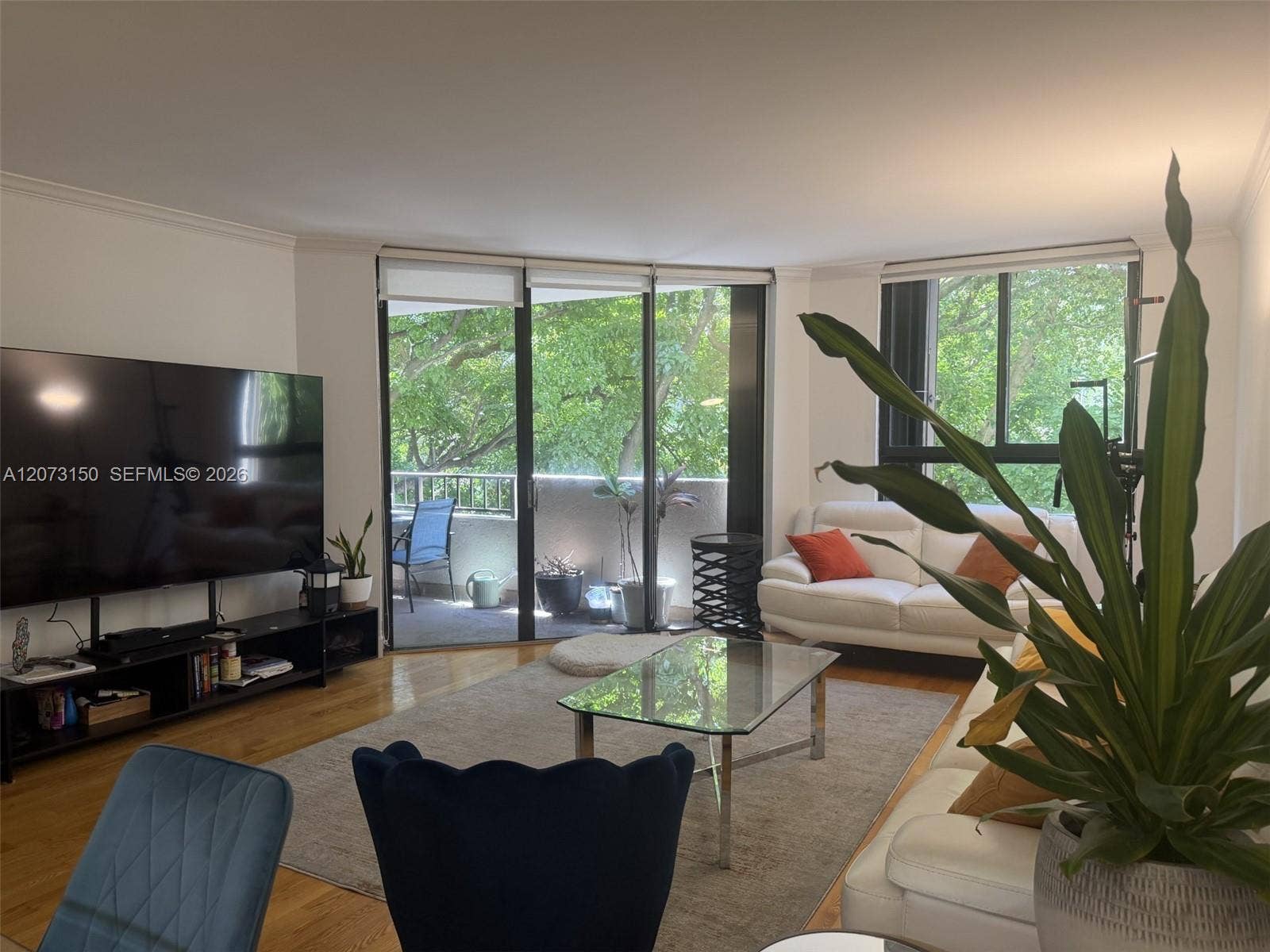 141 Crandon Boulevard, #243, Key Biscayne, Key Biscayne, FL 33149 Living area featuring wood-finish flooring, floor-to-ceiling sliding glass doors, and a private balcony