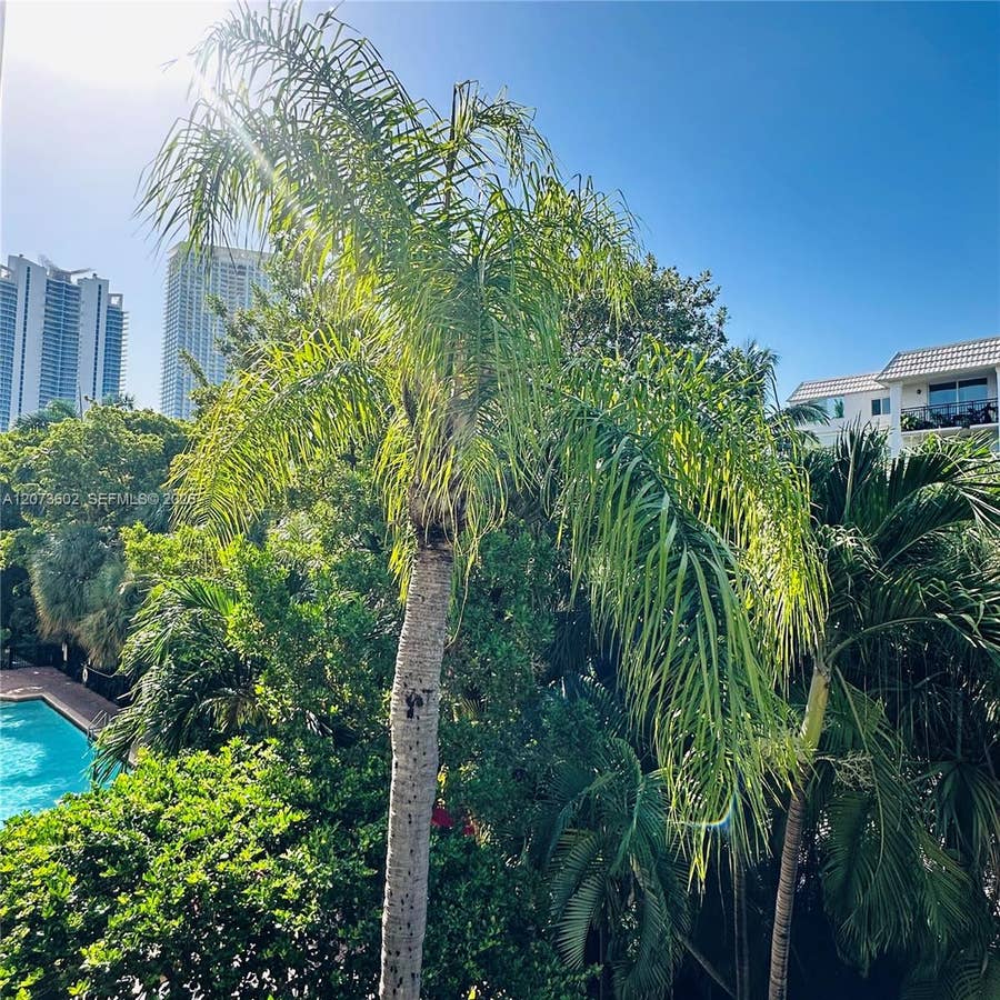 Property photo for 17125 N Bay Road, #3311, Sunny Isles Beach, FL