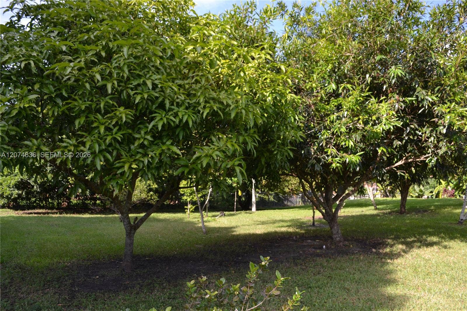 5425 SW 190th Avenue, Southwest Ranches, FL 33332 Photo 50