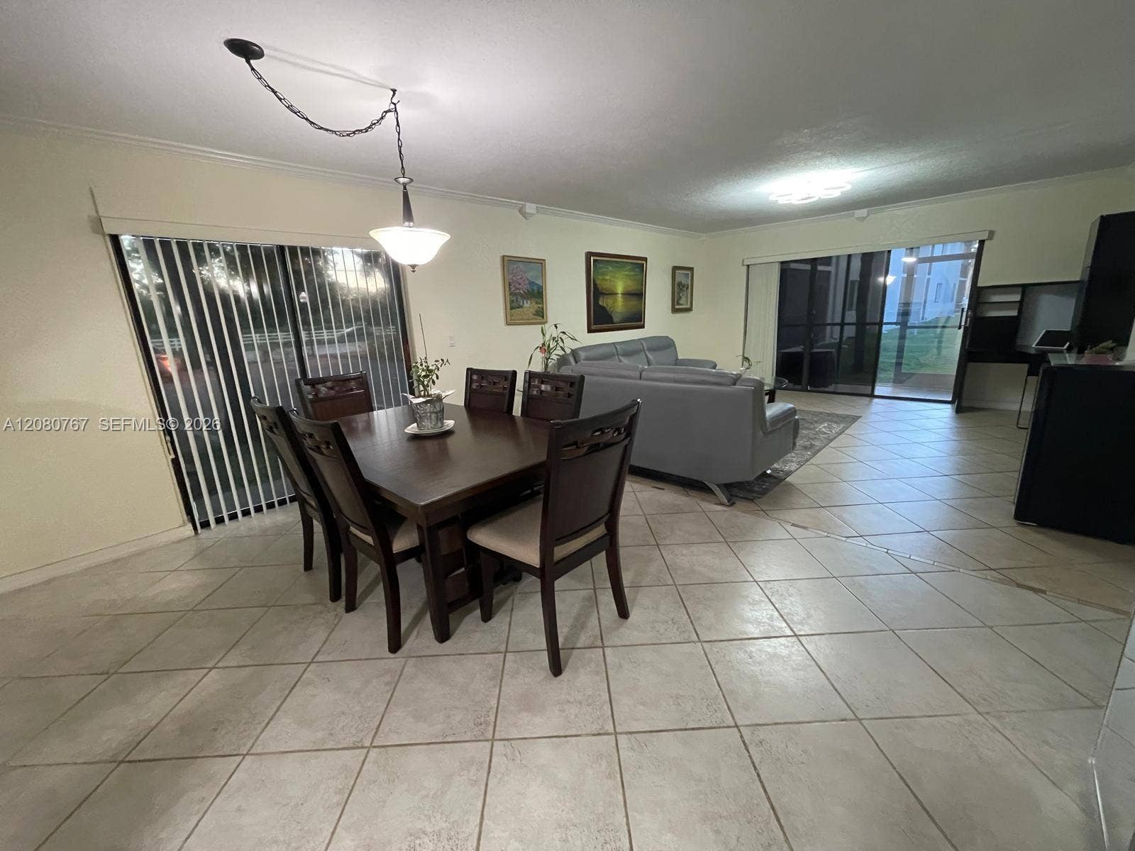 Dining & Living Room