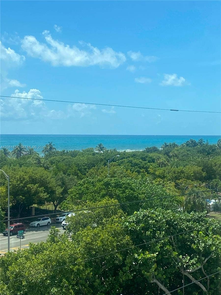 8233 Harding Avenue, #707, Miami Beach, Miami Beach, FL 33141 Coastal horizon featuring expansive ocean waters and mature tropical vegetation
