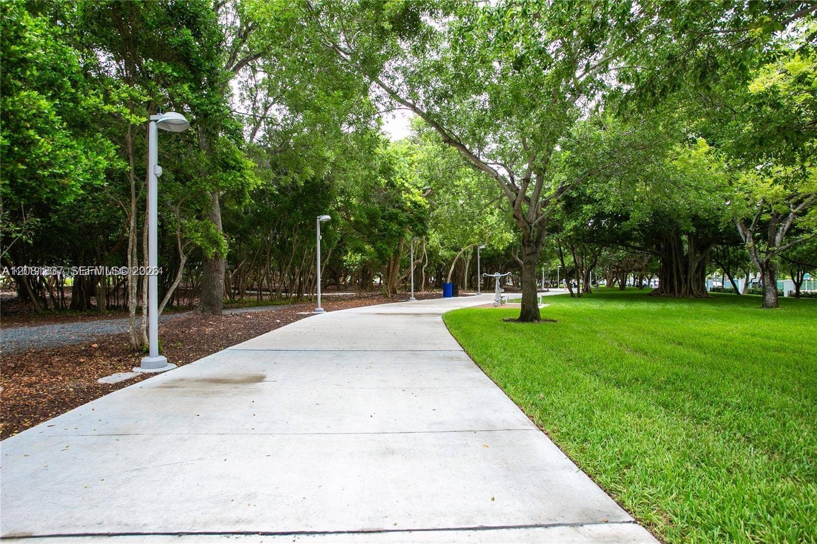 8233 Harding Avenue, #707, Miami Beach, Miami Beach, FL 33141 Concrete paved walkway featuring mature canopy trees, manicured lawn areas, and ground-level pole lighting