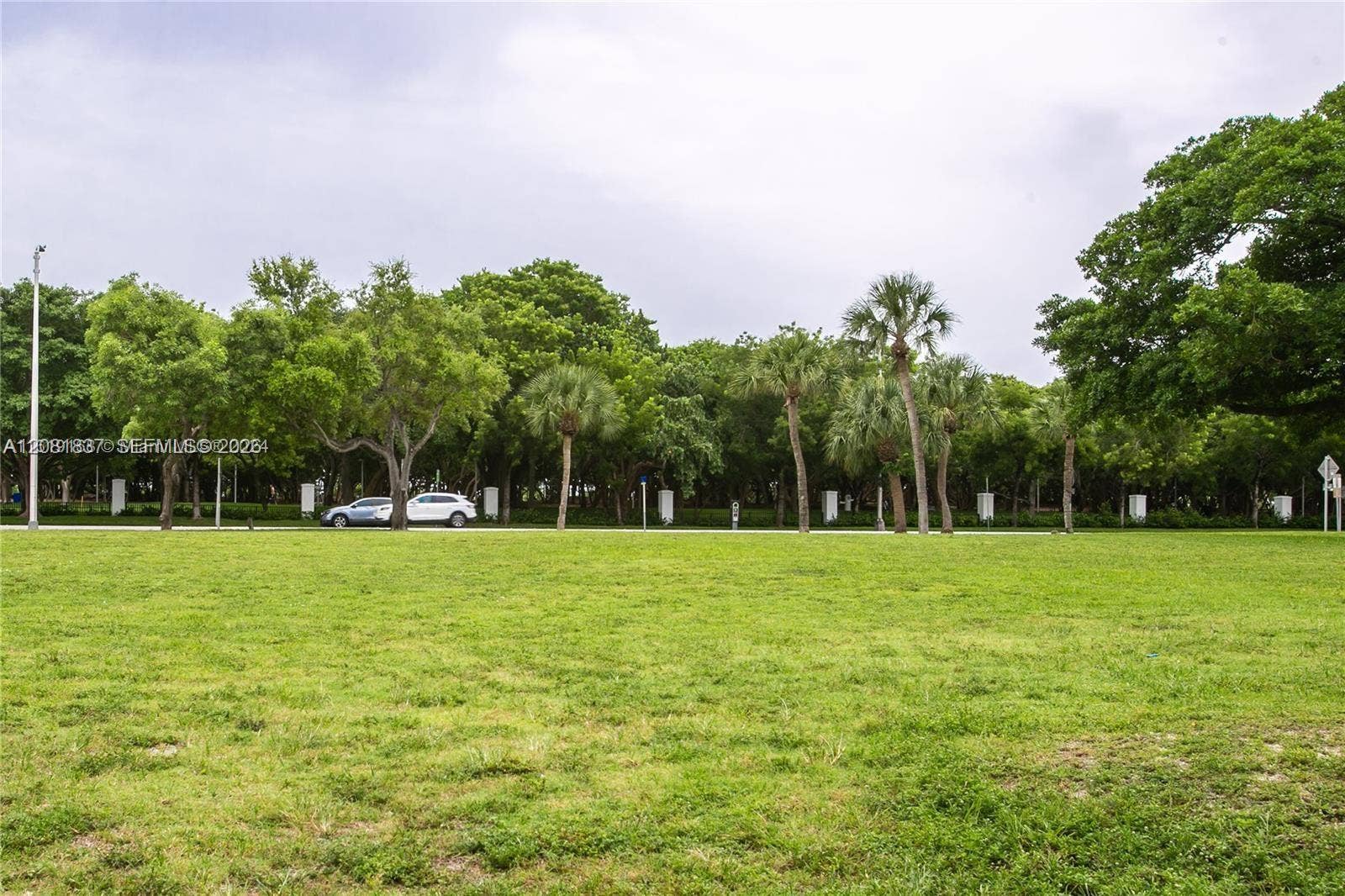 8233 Harding Avenue, #707, Miami Beach, Miami Beach, FL 33141 Expansive lot featuring mature trees, diverse native vegetation, and open green space
