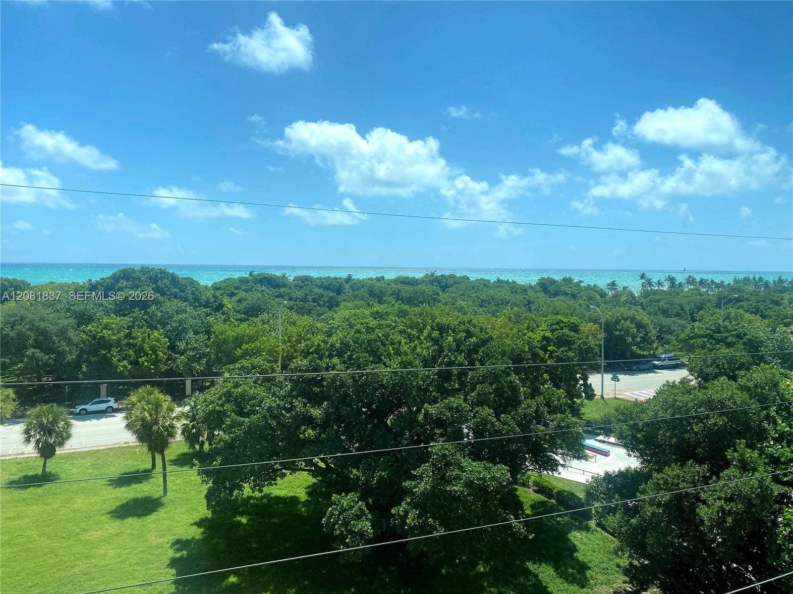 8233 Harding Avenue, #707, Miami Beach, Miami Beach, FL 33141 Expansive coastal scenery featuring a horizon of ocean waters, mature tree canopy, and green space