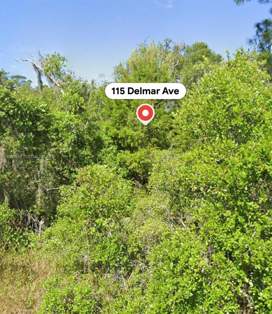 Property photo for 115 Delmar Avenue, Lake Placid, FL