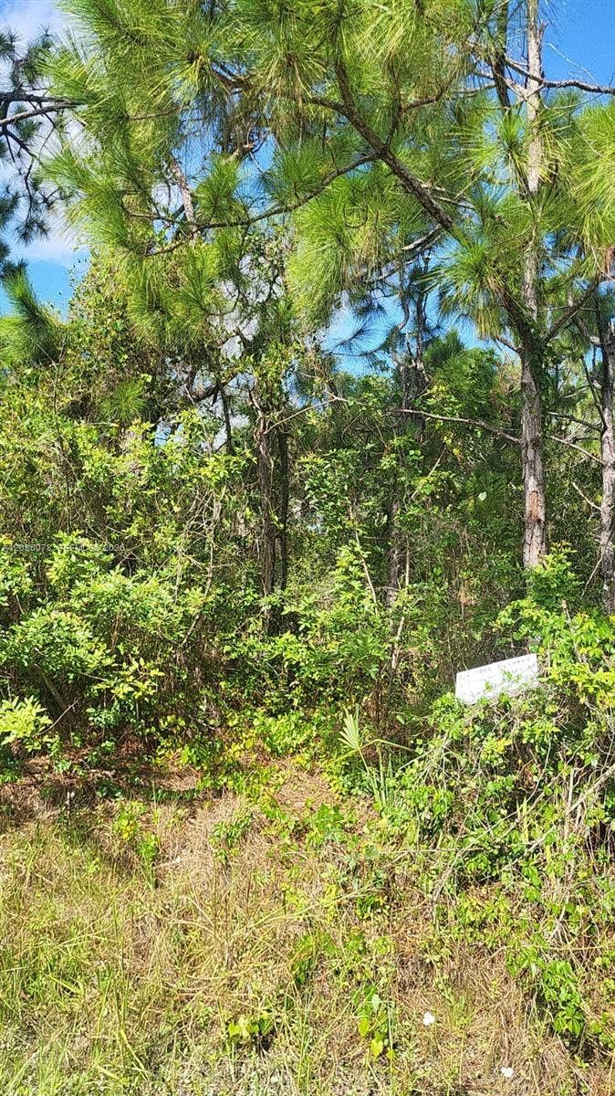 Property photo for 29256 Maris Drive, Punta Gorda, FL