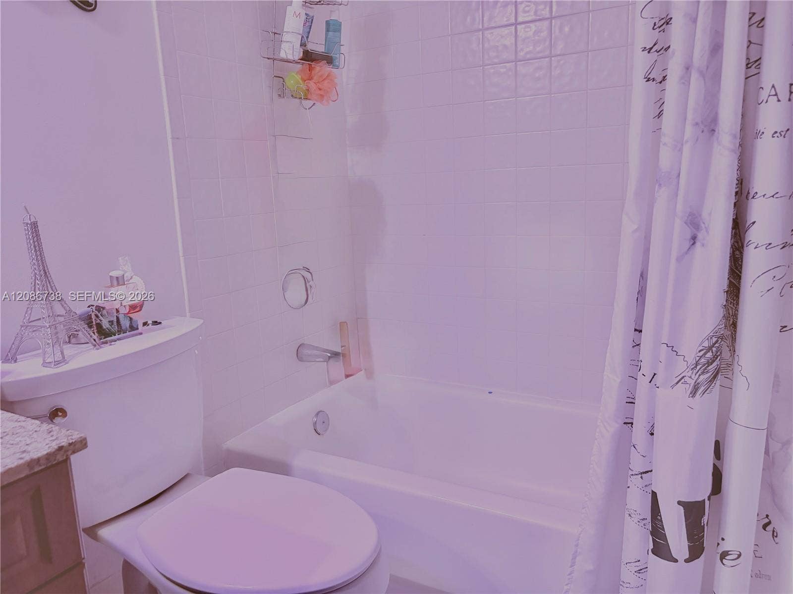 4300 SW 153rd Avenue, Miramar, FL 33027 Photo 32